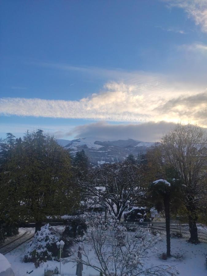 T2 Avec Terrasse Vue Hautacam Dans Villa Historique "Victoria" Argelès-Gazost Esterno foto